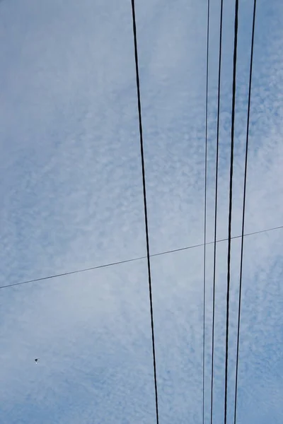 Lignes Électriques Sur Fond Ciel — Photo