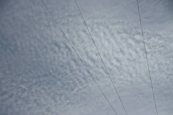 Lignes Électriques Sur Fond Ciel — Photo