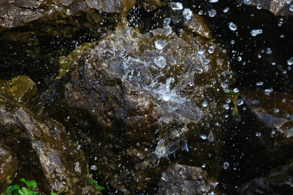 水辺の池にある大きな灰色の石 — ストック写真