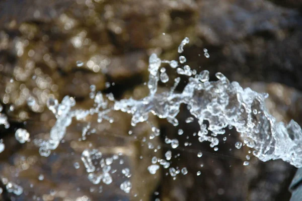 水辺の池にある大きな灰色の石 — ストック写真