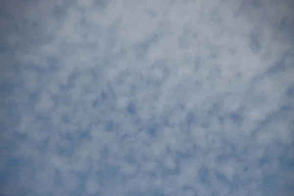 Árvores Com Folhas Verdes Céu Azul — Fotografia de Stock