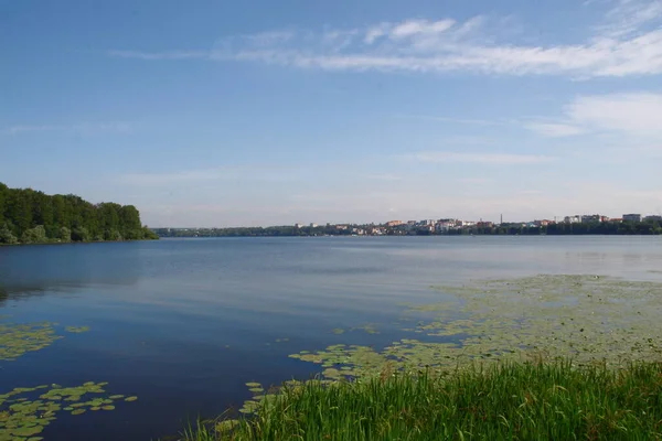 Seerosen Und Grünflächen Und Wasser Auf Dem Teich — Stockfoto