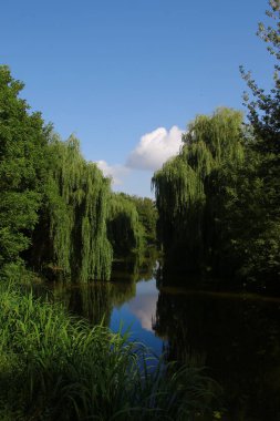 Ağustosta parkta güzel bir manzara. Verbolis, nehir ve ağaçlar