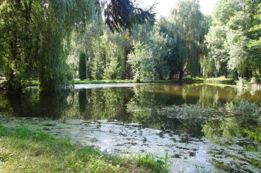 Ağustosta parkta güzel bir manzara. Verbolis, nehir ve ağaçlar