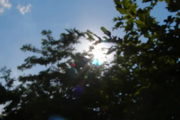 Солнечные Лучи Дефокусе Фоне Леса — стоковое фото