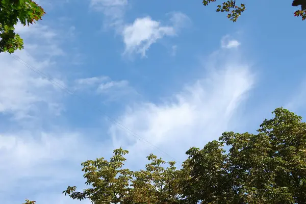 Beau Ciel Bleu Sur Nuages Blancs Août — Photo