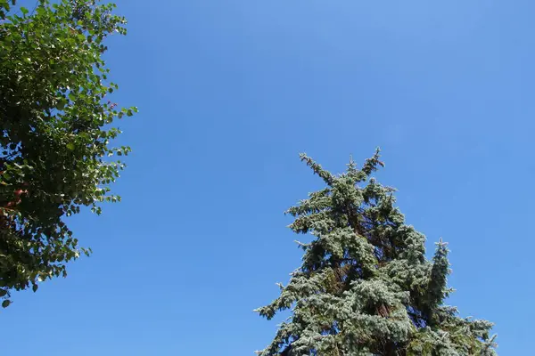 Krásná Modrá Obloha Bílých Mracích Srpnu — Stock fotografie