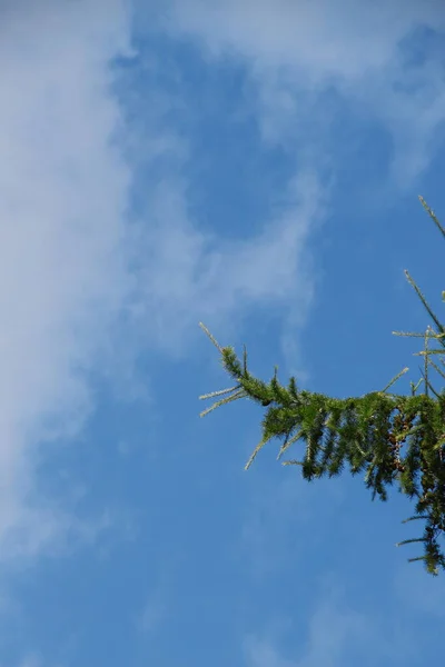 Schöner Blauer Himmel Auf Weißen Wolken August — Stockfoto