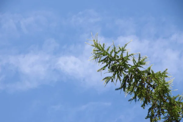 Прекрасне Блакитне Небо Білих Хмарах Серпні — стокове фото