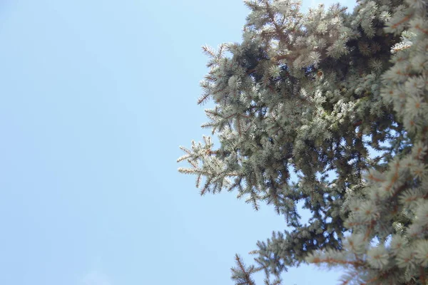 Ağustosta Beyaz Bulutlar Üzerinde Güzel Mavi Gökyüzü — Stok fotoğraf