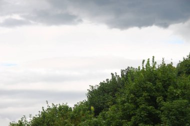 Ağustosta çok kasvetli sonbahar gökyüzü