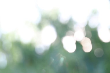 Yeşil yapraklardan oluşan arka planda çözünmüş güneş ışınları