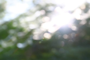 Yeşil yapraklardan oluşan arka planda çözünmüş güneş ışınları