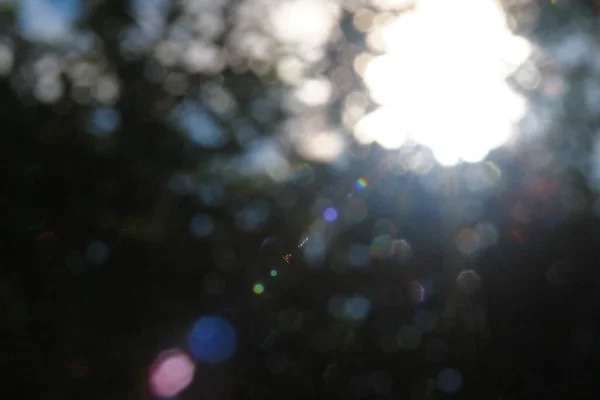 Sonnenstrahlen Defokussierung Auf Einem Hintergrund Aus Grünen Blättern — Stockfoto