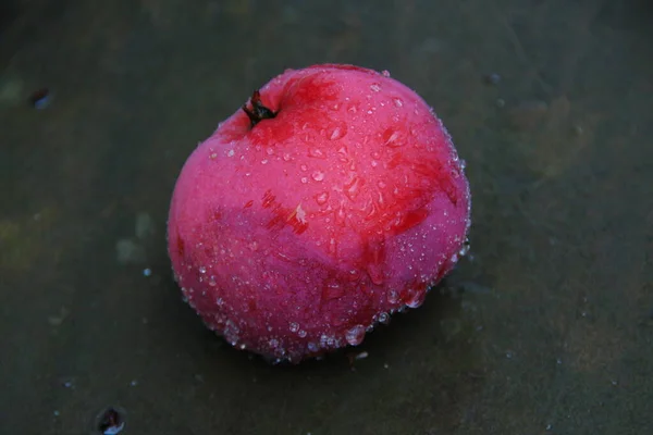 Kleine Grün Rote Äpfel Auf Dem Boden Nach Dem Regen — Stockfoto