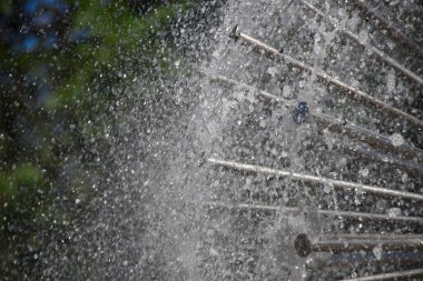 Ağustos 'ta şehir çeşmesinde su fışkırıyor.