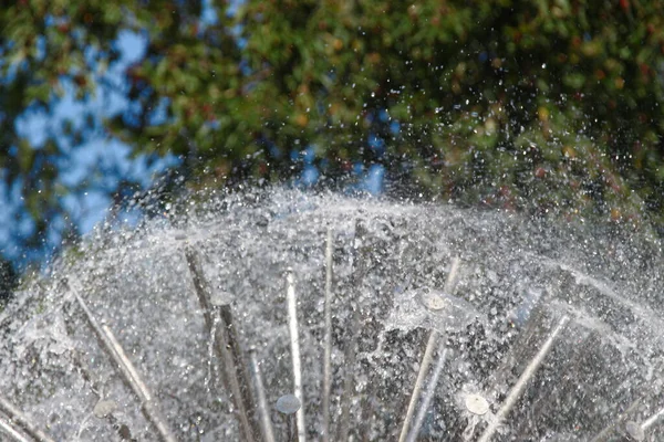 Jets Water City Fountain August — Stock fotografie