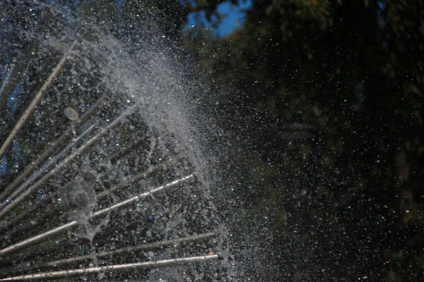 Jets Agua Una Fuente Ciudad Agosto — Foto de Stock