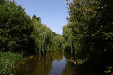 Muddy water in the river Seret in Ternopil in August