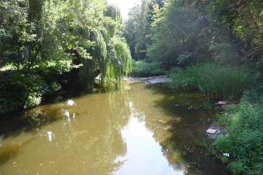 Muddy water in the river Seret in Ternopil in August