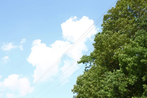 8月の晴れた日には青い空と白い雲 — ストック写真