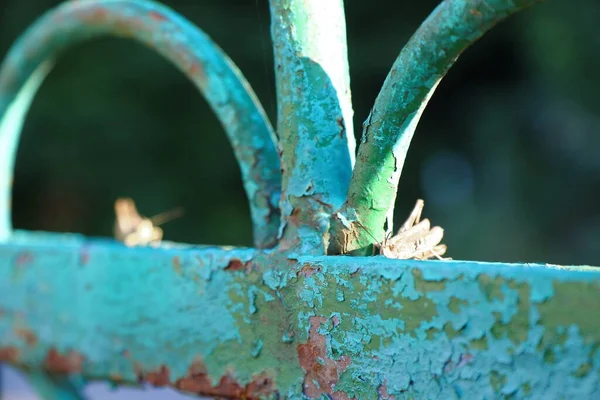 Green Metal Fence Cricket — Stock Fotó