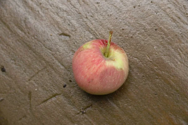 Rött Äpple Gräset Efter Regnet Augusti — Stockfoto