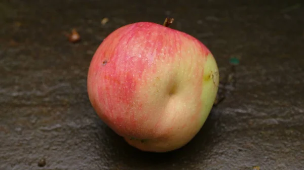 Red apple on the grass after the rain in August