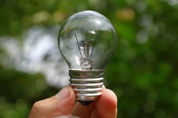 Niet Werkende Gloeilampen Van Glas Hand — Stockfoto