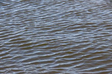 Dalgalar gölün çamurlu sularında