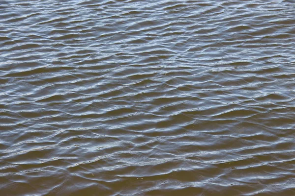 Waves on the water in the muddy water of the pond