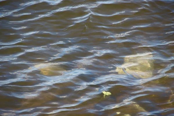 Waves on the water in the muddy water of the pond