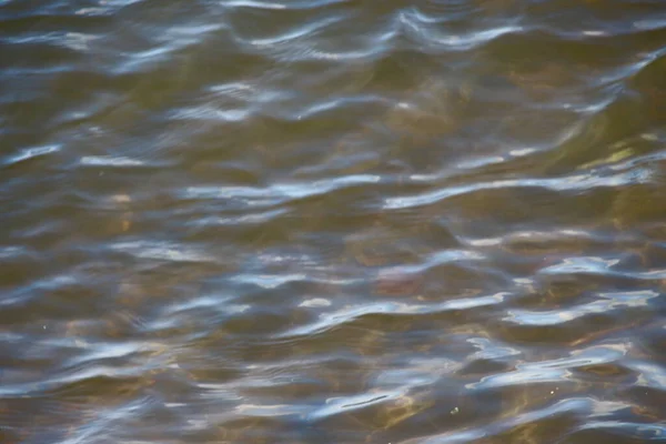 Ondas Água Água Lamacenta Lagoa — Fotografia de Stock