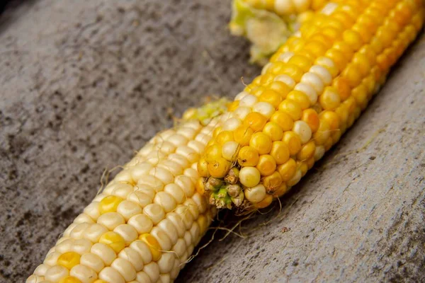 Trozos Maíz Crudo Amarillo Del Jardín Agosto —  Fotos de Stock