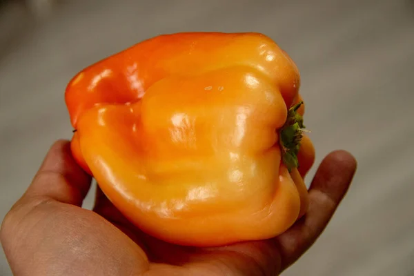 Big yellow bell pepper in hand