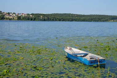 Ağustos 'ta Ternopil göletinin kıyısındaki eski küçük tekne.