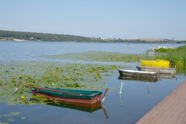 Ağustos 'ta Ternopil göletinin kıyısındaki eski küçük tekne.