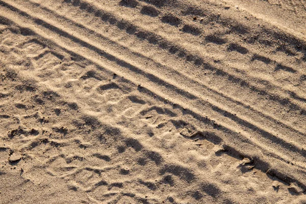 Traces Une Roue Voiture Sur Sable — Photo