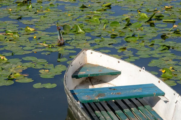 Velho Pequeno Barco Aterro Lagoa Ternopil Agosto — Fotografia de Stock