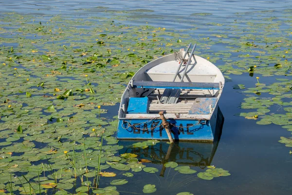 Gammal Liten Båt Vallen Ternopil Damm Augusti — Stockfoto