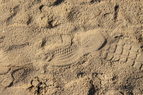 Fotspår Den Gula Sanden Stranden — Stockfoto