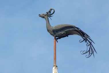 Evdeki tavus kuşunun metal heykeli. Ternopil, Ukrayna