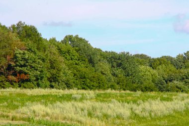 Parktaki manzara çok güzel.
