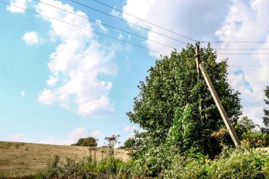 Parktaki manzara çok güzel.