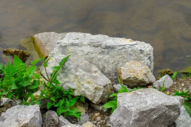 Parktaki suya yakın büyük taşlar.