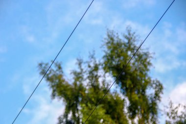 Parktaki manzara çok güzel.