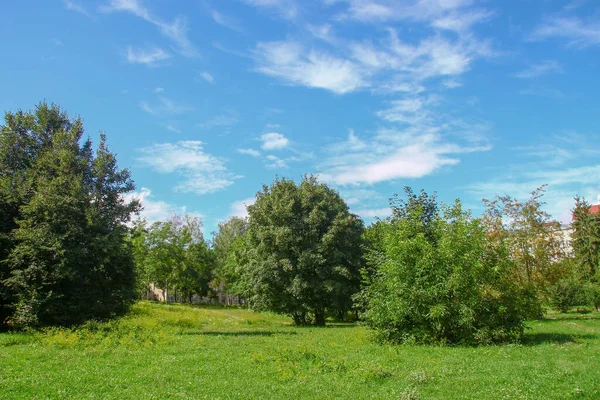 Gyönyörű Táj Parkban — Stock Fotó