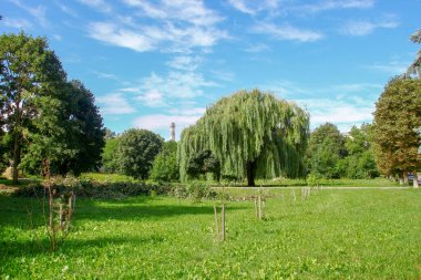 Mavi gökyüzü ve beyaz sonbahar bulutları akşamları gün batımında
