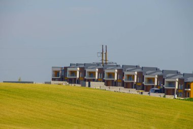 Yeşil buğday tarlası ve mavi gökyüzü