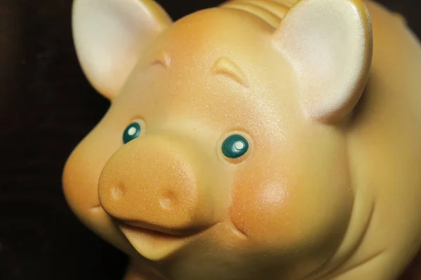 Pequena Escultura Lembrança Turística Porco — Fotografia de Stock